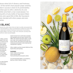 Wine: Taste, Pair, Pour