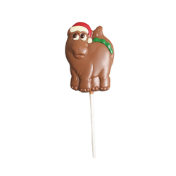 Gourmet Belgian Chocolate Lollies