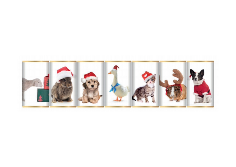 Christmas Animals Chocolate Slims xx