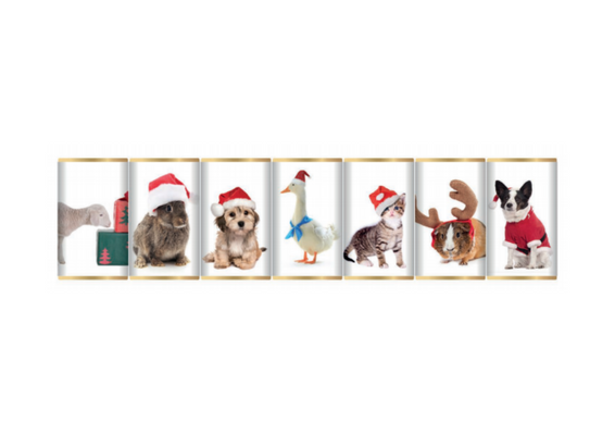 Christmas Animals Chocolate Slims