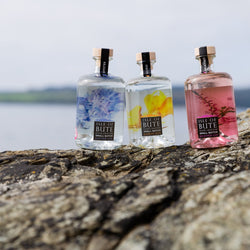 Isle of Bute Oyster Gin 70cl
