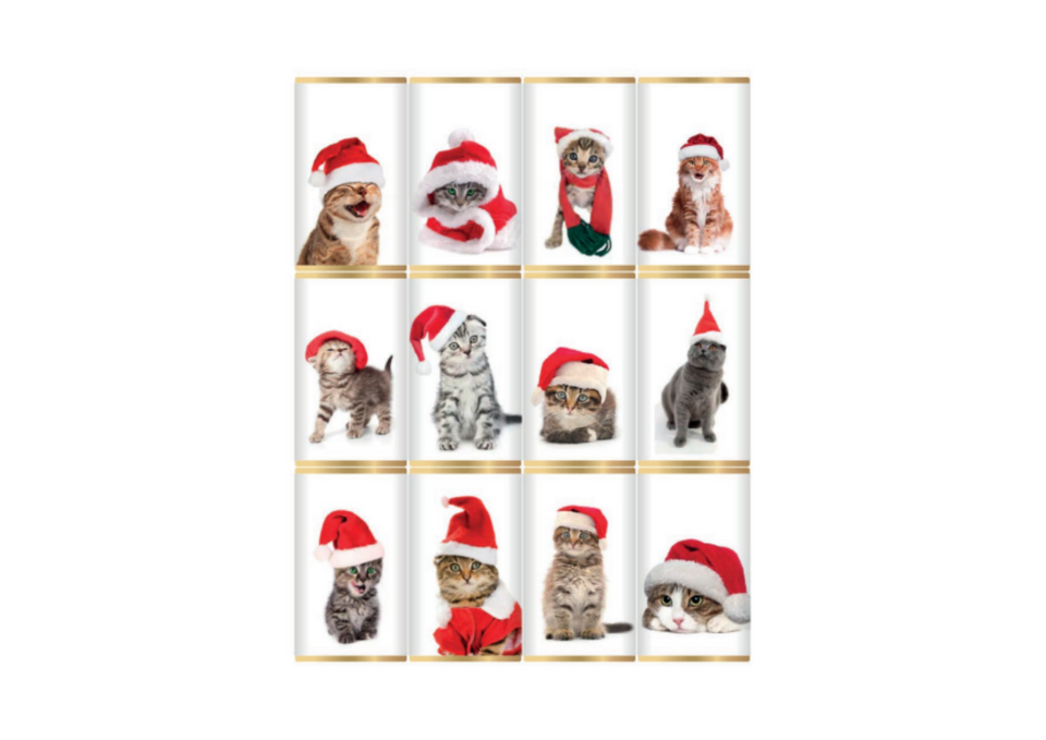 Christmas Cats in Hats Chocolate Slims xx