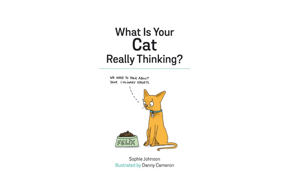 What Is Your Cat Really Thinking? xx