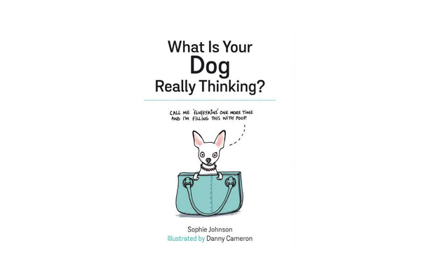 What Is Your Dog Really Thinking?