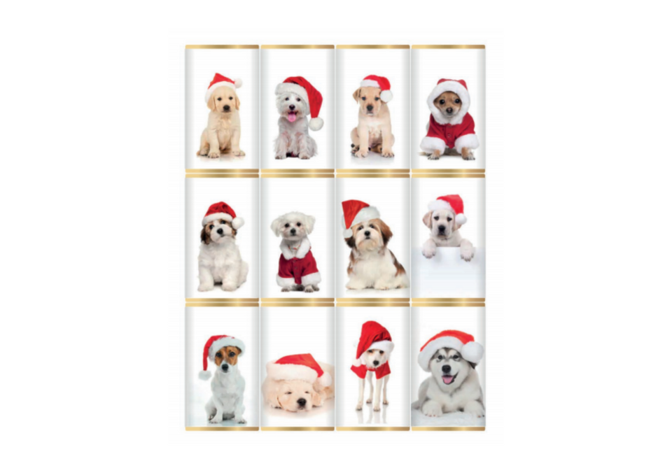 Christmas Dogs in Hats Chocolate Slims xx