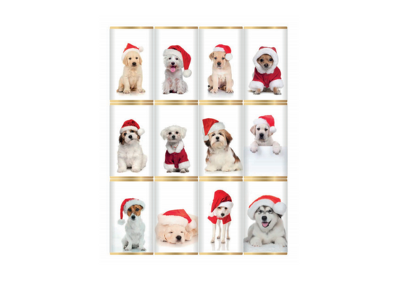 Christmas Dogs in Hats Chocolate Slims