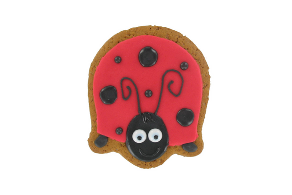 Gingerbread Flower & Ladybird