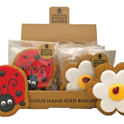 Image showing a box of gingerbread biscuits. Half are shaped and iced like red ladybirds and half are shaped and iced like yellow and white daisies with small red ladybirds in their centres.