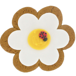 Gingerbread Flower & Ladybird