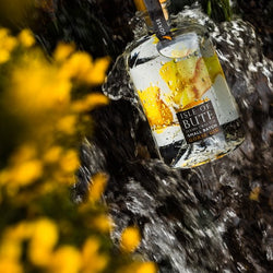 Isle of Bute Gorse Gin 70cl
