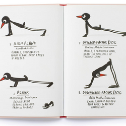 Yoga for Stiff Birds