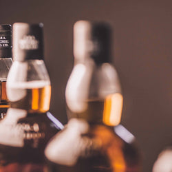 Springbank 10 Year Old Whisky